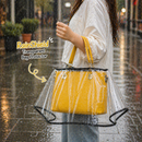 RainShield Transparent Bag Protector