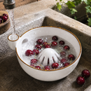 Fresh Fruit Swirl Rinse Bowl