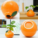 Stylish Orange-Shaped Decorative Vase