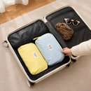 Compact Travel Underwear & Socks Pouch
