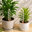 BubbleSphere Plant Water Drip Cone