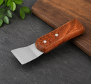 Multipurpose Stain Remover Scraper