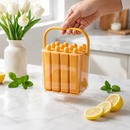 Cool Popsicle Maker Mold