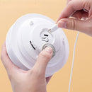 USB Rechargeable Hide-&-Seek Pet Toy