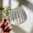 Transparent Pumpkin Shape Cup