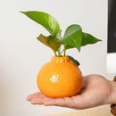 Stylish Orange-Shaped Decorative Vase