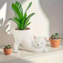 Cute Cat Ceramic Planter Pot