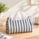 Stylish Striped Tissue Organizer