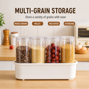 Premium Airtight Multi Grain Organizer