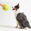 Super Bounce Pets Tennis Ball