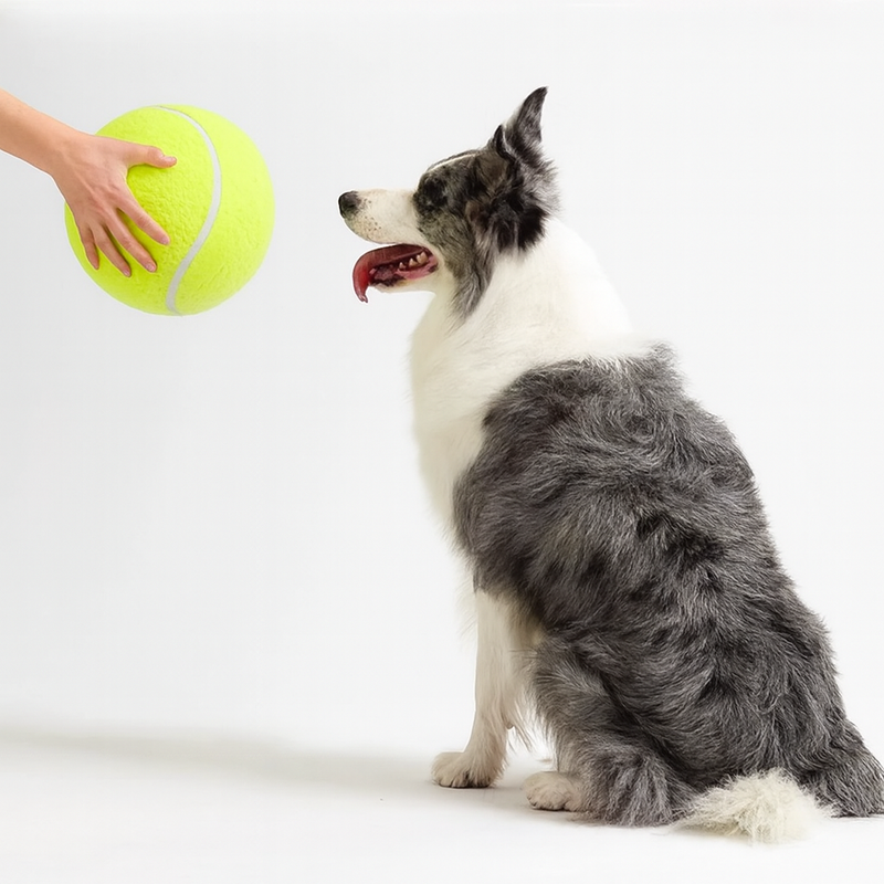 Super Bounce Pets Tennis Ball