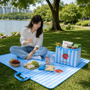 PackNSpread Picnic Mat