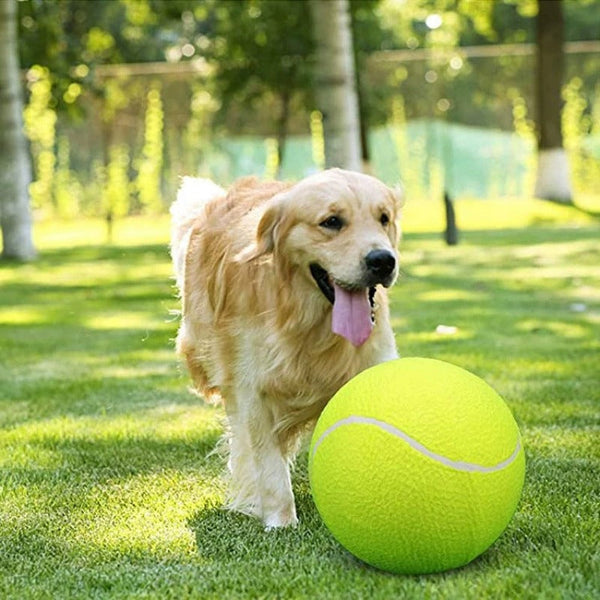 Super Bounce Pets Tennis Ball