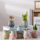 Aesthetic Bloom Pot Collection