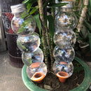 BubbleSphere Plant Water Drip Cone
