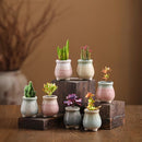 Aesthetic Bloom Pot Collection