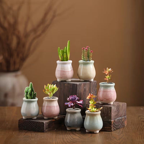 Aesthetic Bloom Pot Collection