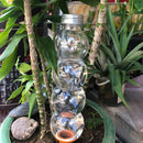 BubbleSphere Plant Water Drip Cone