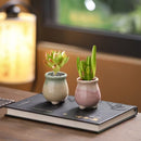 Aesthetic Bloom Pot Collection