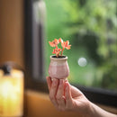 Aesthetic Bloom Pot Collection
