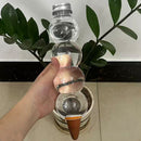 BubbleSphere Plant Water Drip Cone