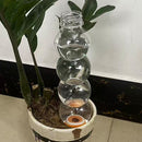 BubbleSphere Plant Water Drip Cone