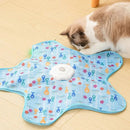 USB Rechargeable Hide-&-Seek Pet Toy