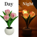 Aesthetic Bloom LED Tulip Lamp