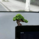 Lucky Moss Tree Decor Set