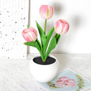 Aesthetic Bloom LED Tulip Lamp